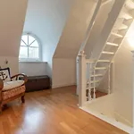 Tatil Evi Nordlicht Reetdachhaus Nordlicht Luv Böhl